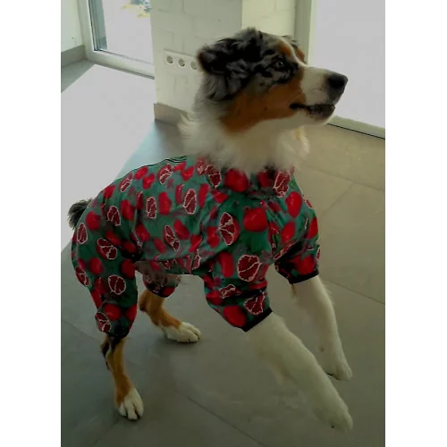 дощовик для собаки